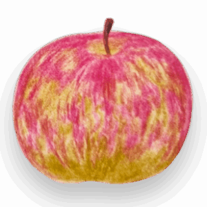 Apfelsorte Boskoop