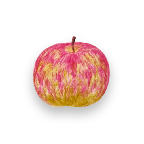 Apfelsorte Boskoop