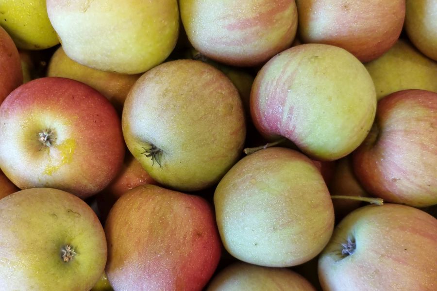 Apfelsorte Rubinette