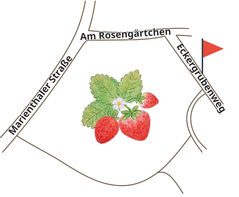 Unser Erdbeerfeld zum Selbstpflücken