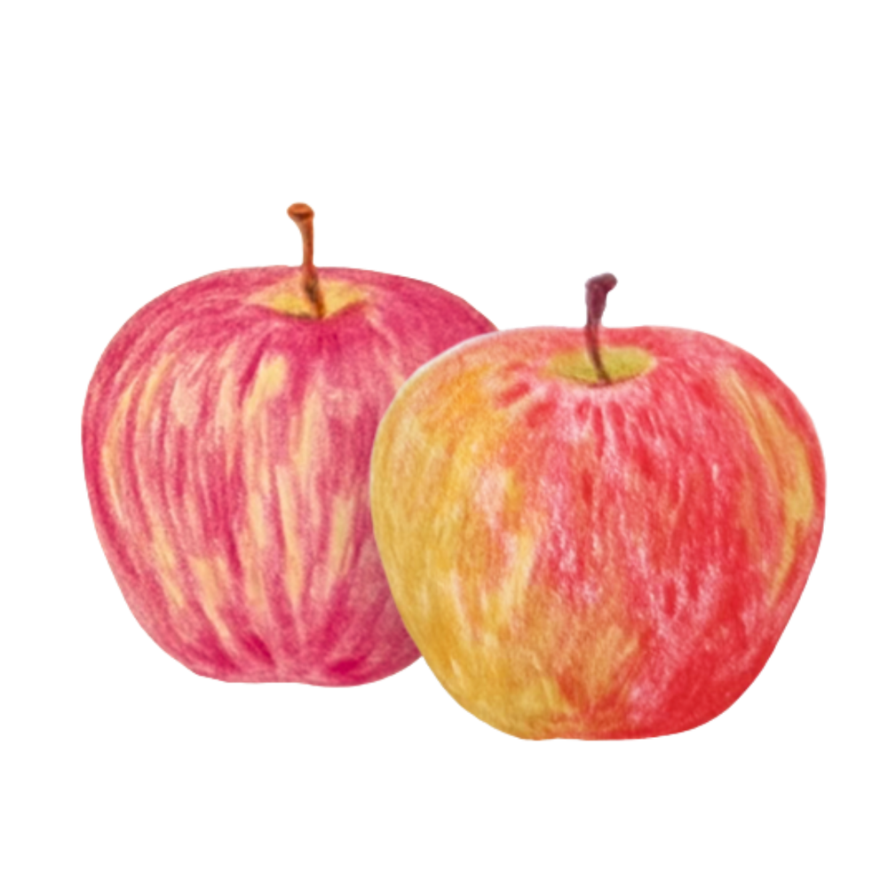 Apfel Illustration