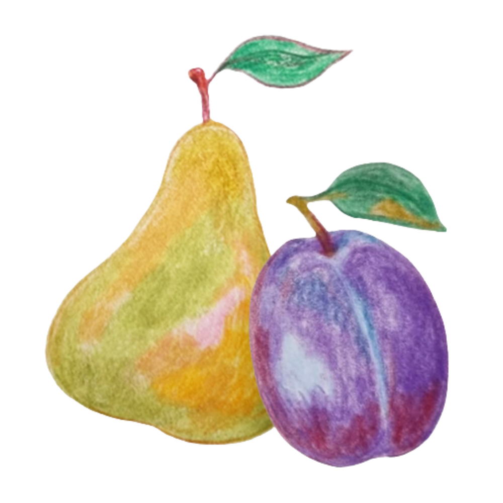 Birne und Pflaume Illustration