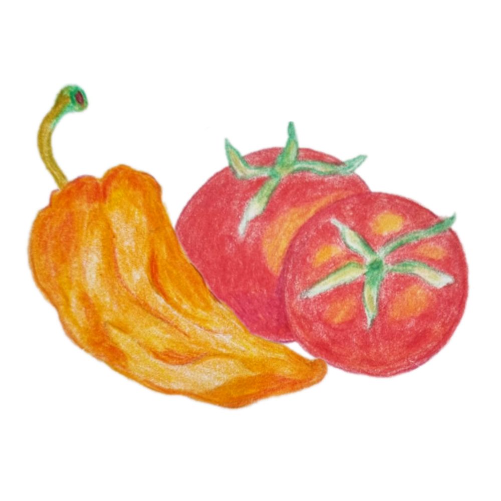 Gemüse Illustration