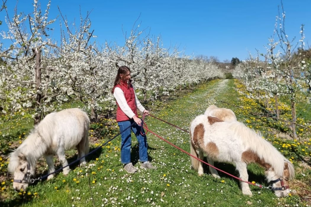 Lena und unsere drei Ponys